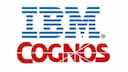 Cognos Analytics IBM